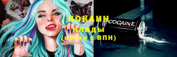 гидра Михайловск