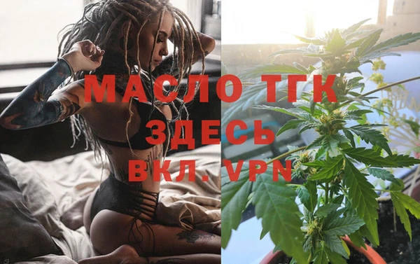 прущие грибы Михайловка