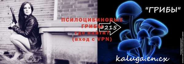 гидра Михайловск