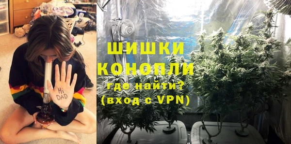 гидра Михайловск
