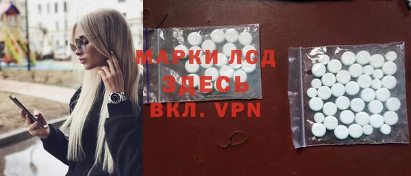 прущие грибы Михайловка