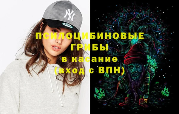 прущие грибы Михайловка