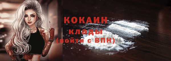 гидра Михайловск