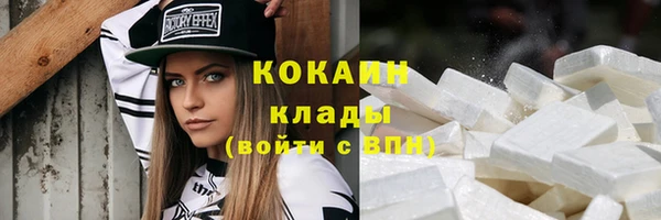 прущие грибы Михайловка