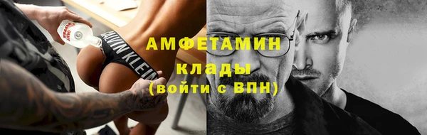гидра Михайловск