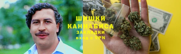 прущие грибы Михайловка