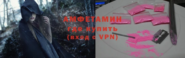 прущие грибы Михайловка