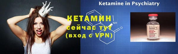 прущие грибы Михайловка