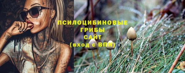 герыч Михайлов