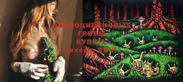 гидра Михайловск