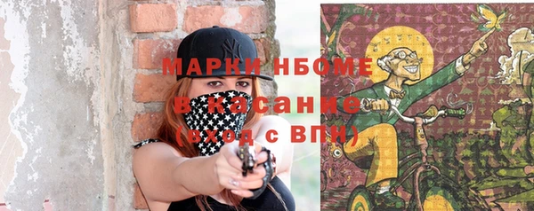 гидра Михайловск