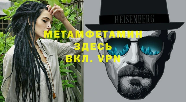 прущие грибы Михайловка
