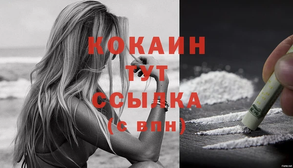 прущие грибы Михайловка
