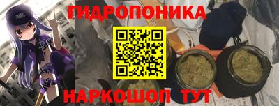 амф Кимры