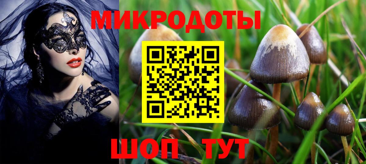 Псилоцибиновые грибы Psilocybine cubensis  Вход с VPN  Самара 