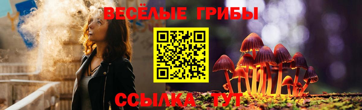 Псилоцибиновые грибы Magic Shrooms Самара